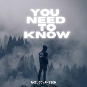 Axel Johansson的專輯You Need to Know