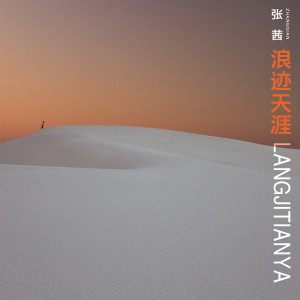 收聽張茜的浪跡天涯歌詞歌曲