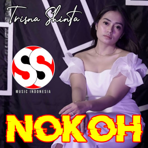 Listen to Nokoh song with lyrics from Trisna Shinta