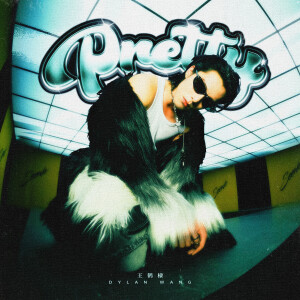 收聽王鶴棣的Pretty歌詞歌曲