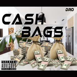 Listen to Cash Bags (Explicit) song with lyrics from Dro