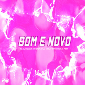 ดาวน์โหลดและฟังเพลง BOM E NOVO (Explicit) พร้อมเนื้อเพลงจาก Mc Allanzinho