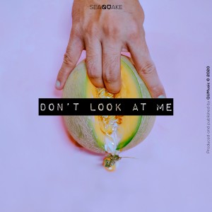 ดาวน์โหลดและฟังเพลง Don't Look at Me พร้อมเนื้อเพลงจาก Seaquake