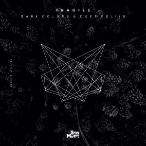 Album Fragile from Dark Colors