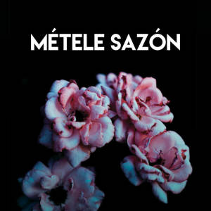收听Los Reggaetronics的Métele Sazón歌词歌曲