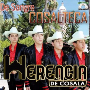 ดาวน์โหลดและฟังเพลง Decendencia de Ranchero พร้อมเนื้อเพลงจาก Herencia de Cosala