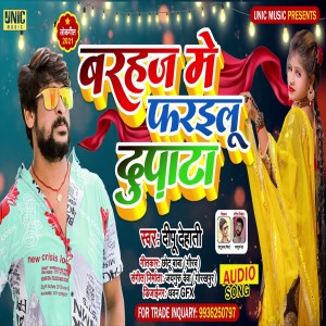 ดาวน์โหลดและฟังเพลง Barahaj Me Farailu Duppta พร้อมเนื้อเพลงจาก Dipu Dehati