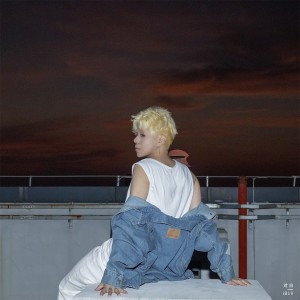 Listen to 对白 (完整版) song with lyrics from iB19