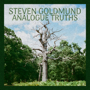 Listen to Analogue Truths (432 Hz) song with lyrics from Steven Goldmund
