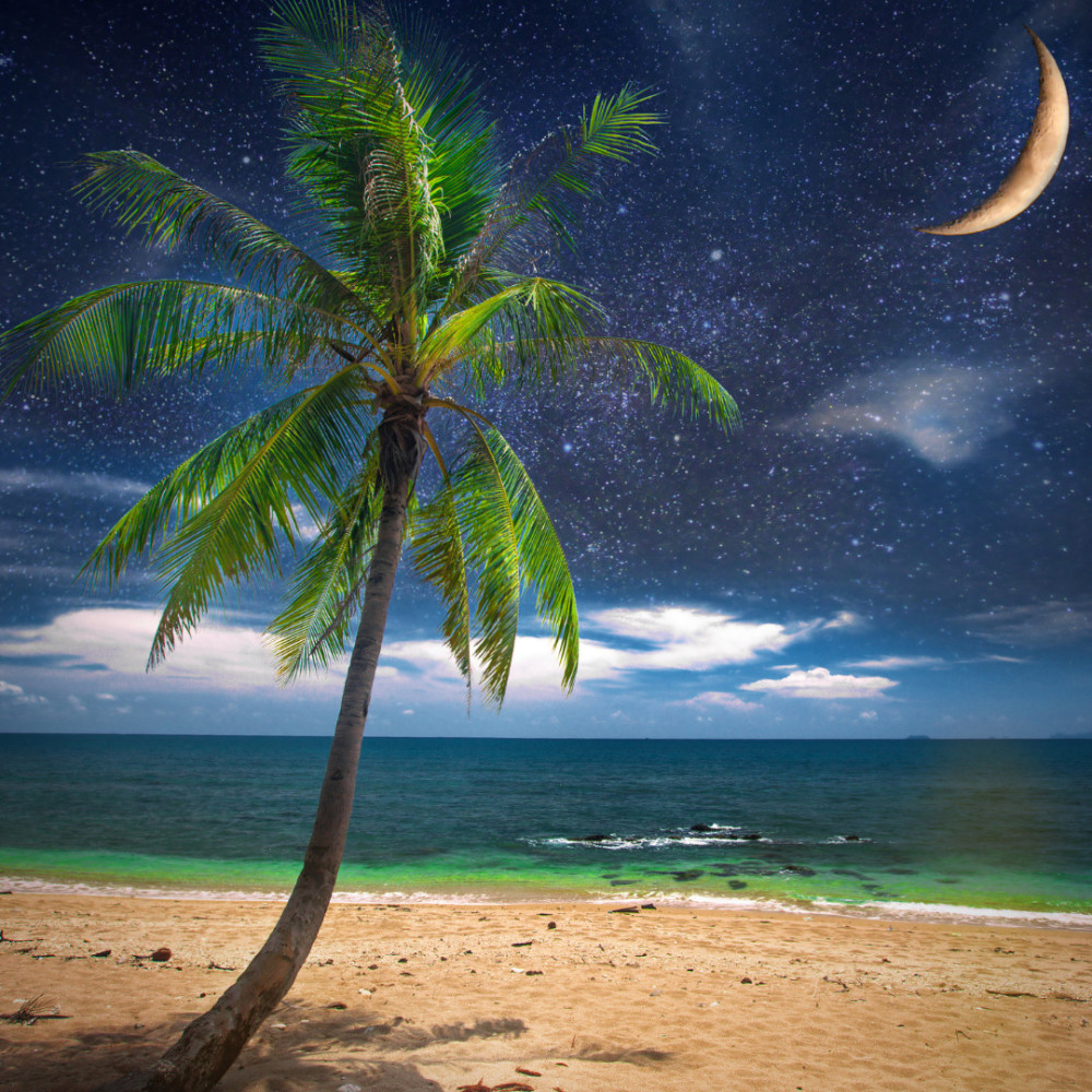 Sea Rhythms in Moonlight's Aria
