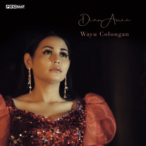 收聽Dian Anic的Wayu Colongan歌詞歌曲