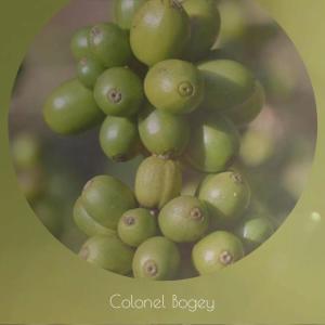 Album Colonel Bogey oleh Various Artist