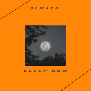 Always的專輯Sleep Now