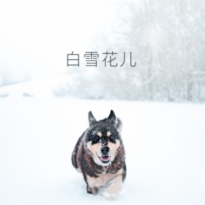 ดาวน์โหลดและฟังเพลง 白雪花儿 (伴奏) พร้อมเนื้อเพลงจาก 浪子成龙