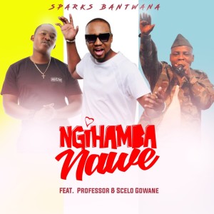 Sparks Bantwana的專輯NgiHamba Nawe