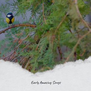 Album Early Amazing Songs from Various