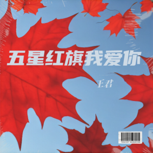 Album 五星红旗我爱你 from 