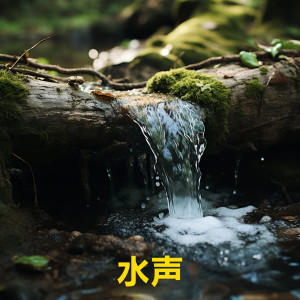 收聽睡眠音樂的流水聲歌詞歌曲