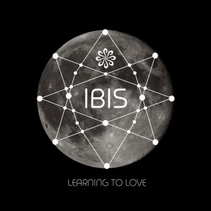 收听Ibis的Learning to Love歌词歌曲