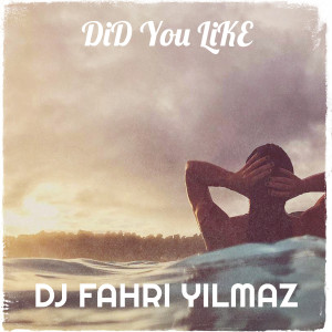 Listen to Did You Like song with lyrics from DJ Fahri Yilmaz