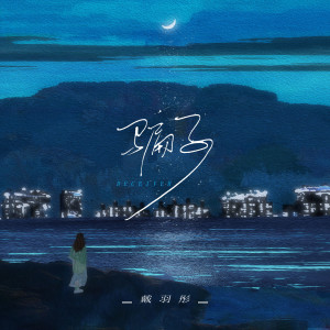 Album 骗子 from 戴羽彤