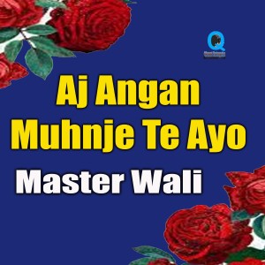 Album Aj Angan Muhnje Te Ayo from Master Wali