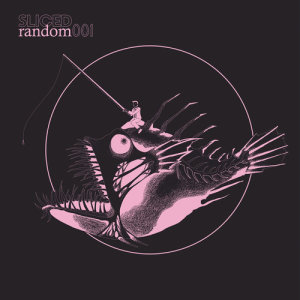 收聽Slicedrandom的Dependent歌詞歌曲