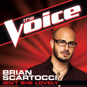 收聽Brian Scartocci的Isn't She Lovely (The Voice Performance)歌詞歌曲