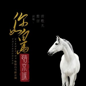 ดาวน์โหลดและฟังเพลง 你如白马踏京城 พร้อมเนื้อเพลงจาก 楚新