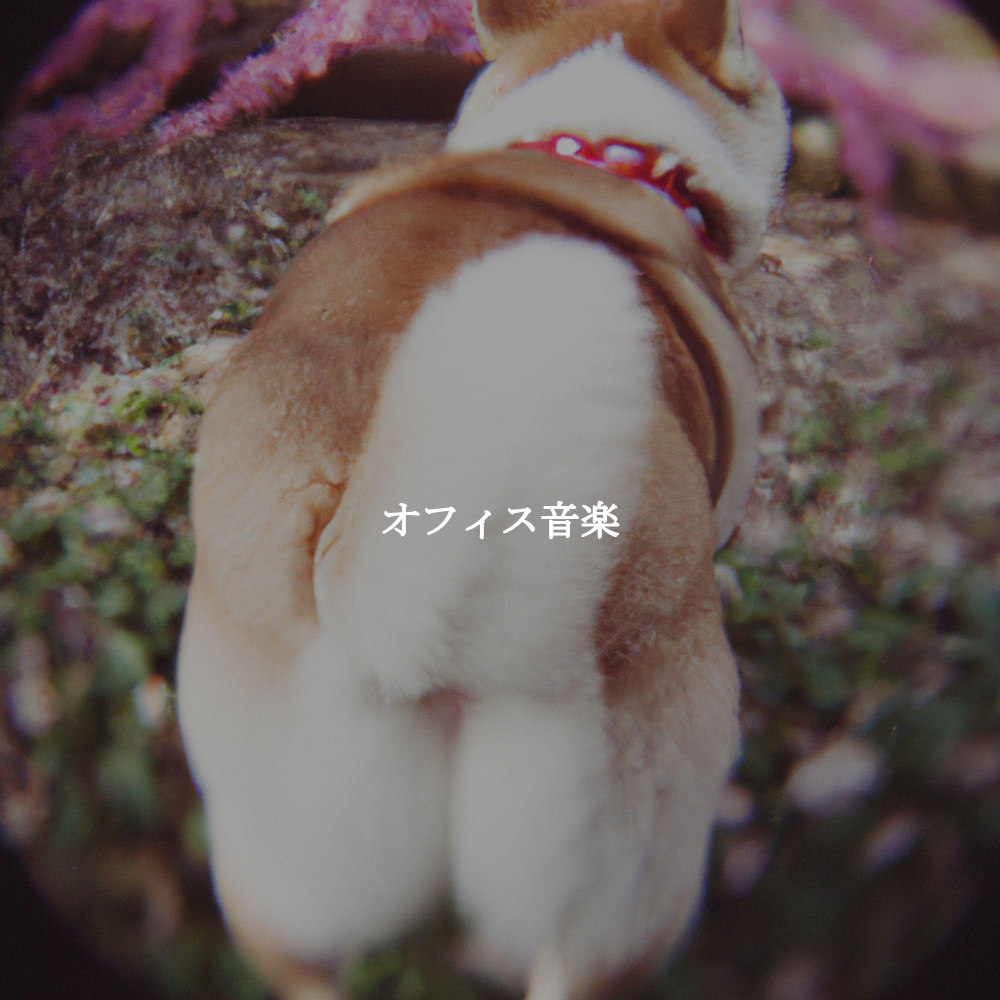 Wicked Ambiance for The Cozy Dogs