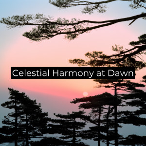 Album Celestial Harmony at Dawn from Chakra Frequencies