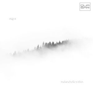 Album Melancholic Within from Stigya