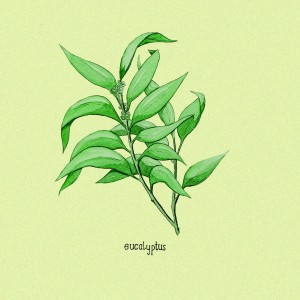 Dengarkan eucalyptus lagu dari SMUV dengan lirik