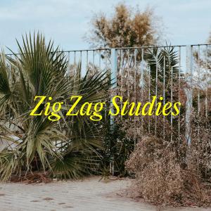 Johannes Albert的专辑Zig Zag Studies