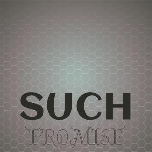 อัลบัม Such Promise ศิลปิน Various