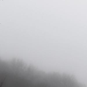 收聽sayhere的bass (feat. noaa) (Explicit)歌詞歌曲