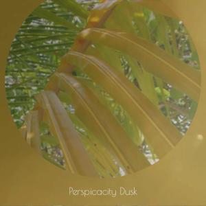 Various的专辑Perspicacity Dusk