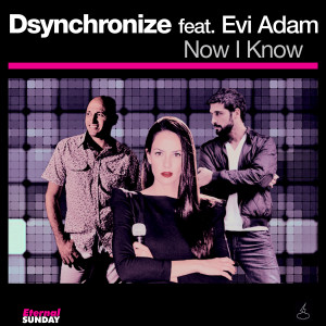 ดาวน์โหลดและฟังเพลง Now I Know พร้อมเนื้อเพลงจาก Dsynchronize