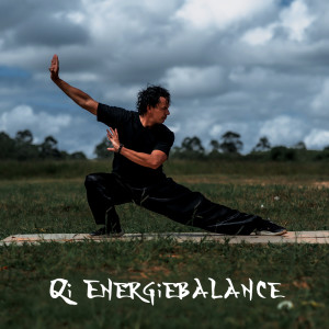 Album Qi Energiebalance (Chinesische Medizin, Heilende Bewegungsmeditation) from Meditationsmusik Sammlung
