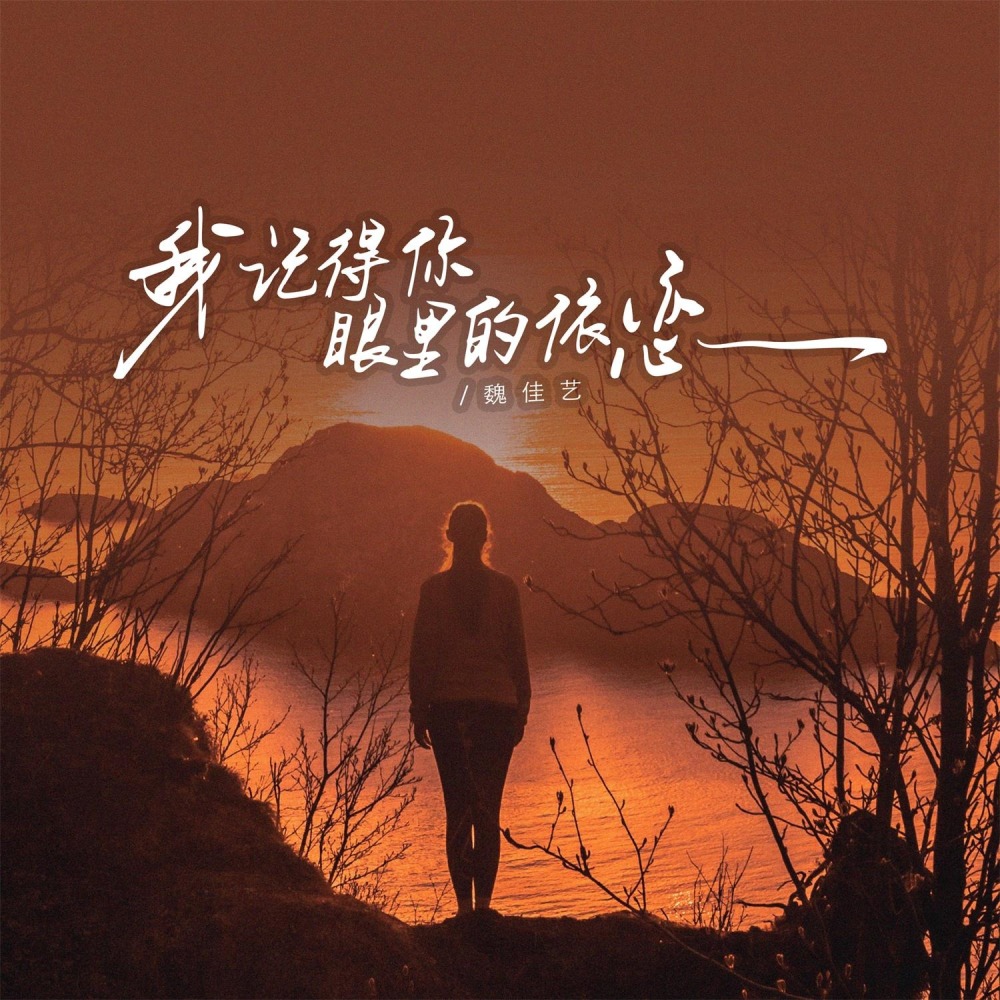 我记得你眼里的依恋 (烟嗓版伴奏)