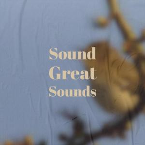 Album Sound Great Sounds from Various
