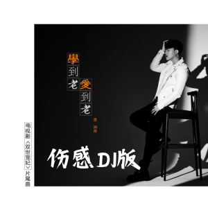 Album 学到老爱到老 (伤感DJ版) oleh 金润吉