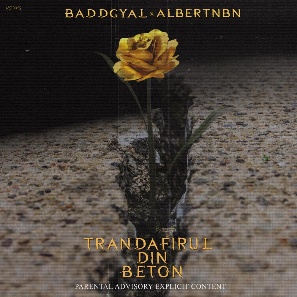 Trandafirul Din Beton(feat. AlbertNbn) (Explicit)