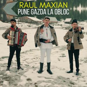 收聽Raul Maxian的Pune gazda la obloc歌詞歌曲