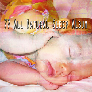 Dengarkan Find Soothing Sleep lagu dari White Noise dengan lirik
