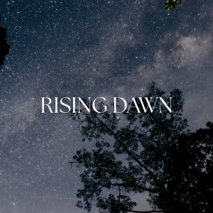 Praise and Worship Orchestra的專輯Rising Dawn
