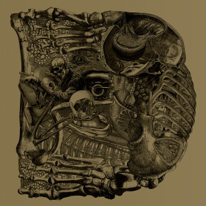 default album img