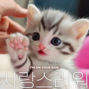 Listen to i'm on your side song with lyrics from REV
