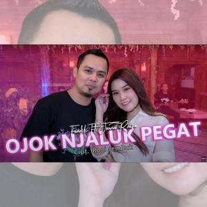 Album Ojo Jaluk Pegat from Fendik