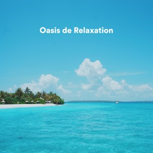 Musique Calme et Relaxation的專輯Oasis de relaxation